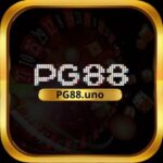 PG88cab