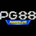 PG88 Cổng Cá Cược Thể Thao & Casino Trực Tuyến