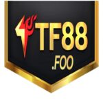pitlawos45