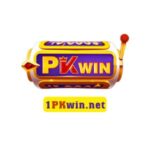 pkwinnet