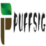 puffsigarett2025
