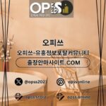 평촌오피 오피사이트.NET 평촌OP