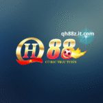 qh88zitcom1