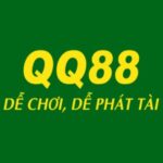 qq88realty