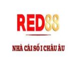 Red88konadbrasil