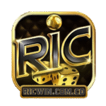 RICWIN