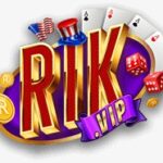 rikvipproblog
