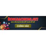 Lô top rồng bạch kim