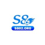 S8 02org