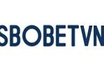 sbobetvncc1