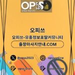 선릉오피 오피쓰주소.COM 선릉OP