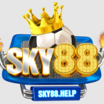 SKY88 help