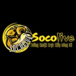 socoliveinn