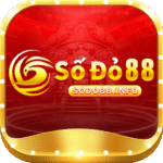 sodo88info