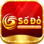 sodocasinonetco