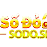 sodosbs2025