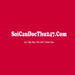 soicaudocthu247com