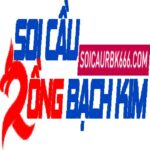 Soi Cầu Rồng Bạch Kim