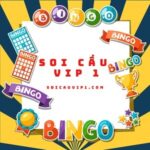 soicauvip1com