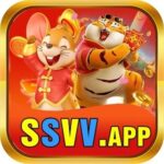 SSVV app