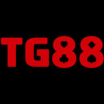 stg88com