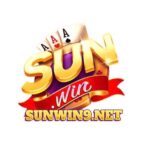 SUNWIN9 NET