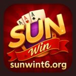 sunwint6org