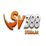 Si300