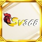 sv3689net