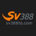 sv388t6com