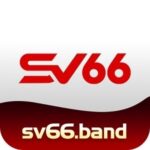 SV66 band