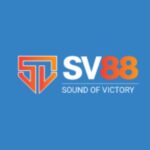 sv88qzcom