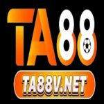 TA88 VNET