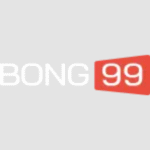 Taibong 99
