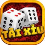 taixiumd5vn