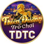 TDTC – Nhà cái cá cược thể thao và casino trực tuyến uy tín