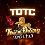 tdtccohoichuatungcocom