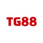 tg880com