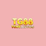 tg88