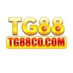 tg88cocom2