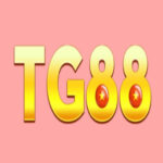 Tg88