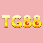 TG88 – Link Trang Chủ Nhà Cái TG88.COM Casino Hỗ Trợ 24/7