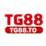 tg88to