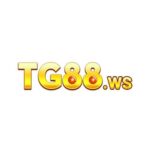 tg88ws