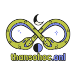 thansohoconlinevn
