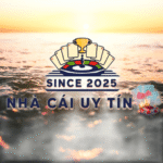 tinhhoavietvn