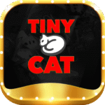 Tinycatcomco