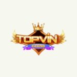 topvinbid