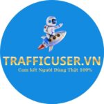 Traffic User