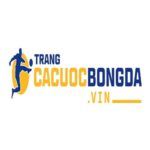 Top trang cá cược bóng đá, cá độ uy tín trực tuyến 2025